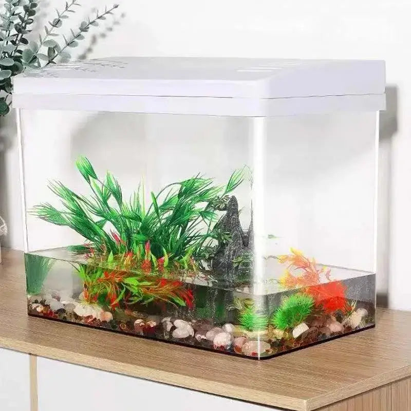 acrylic aquariums