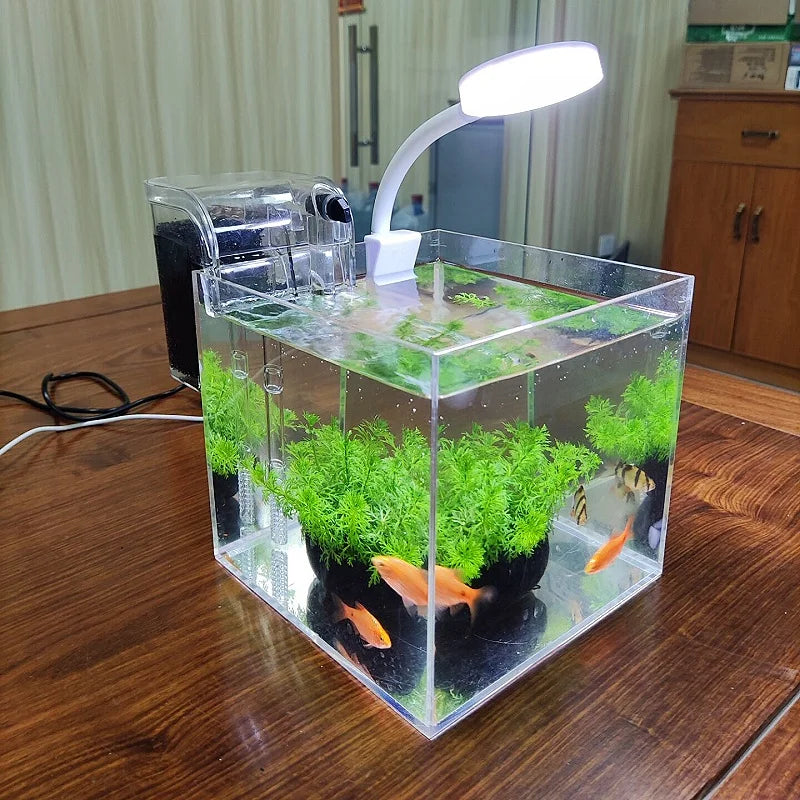 mini desktop acrylic aquarium