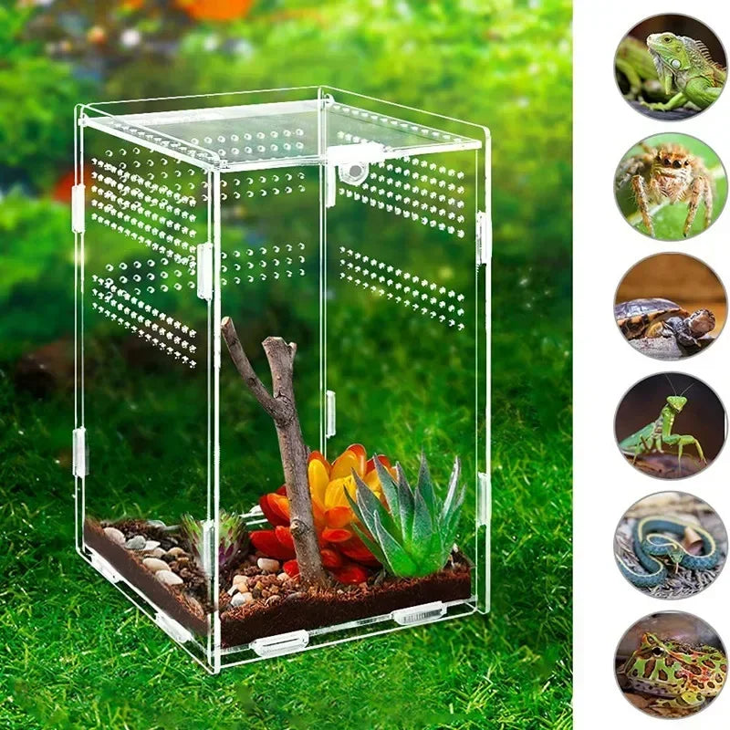High-quality acrylic reptile terrarium for exceptional visibility