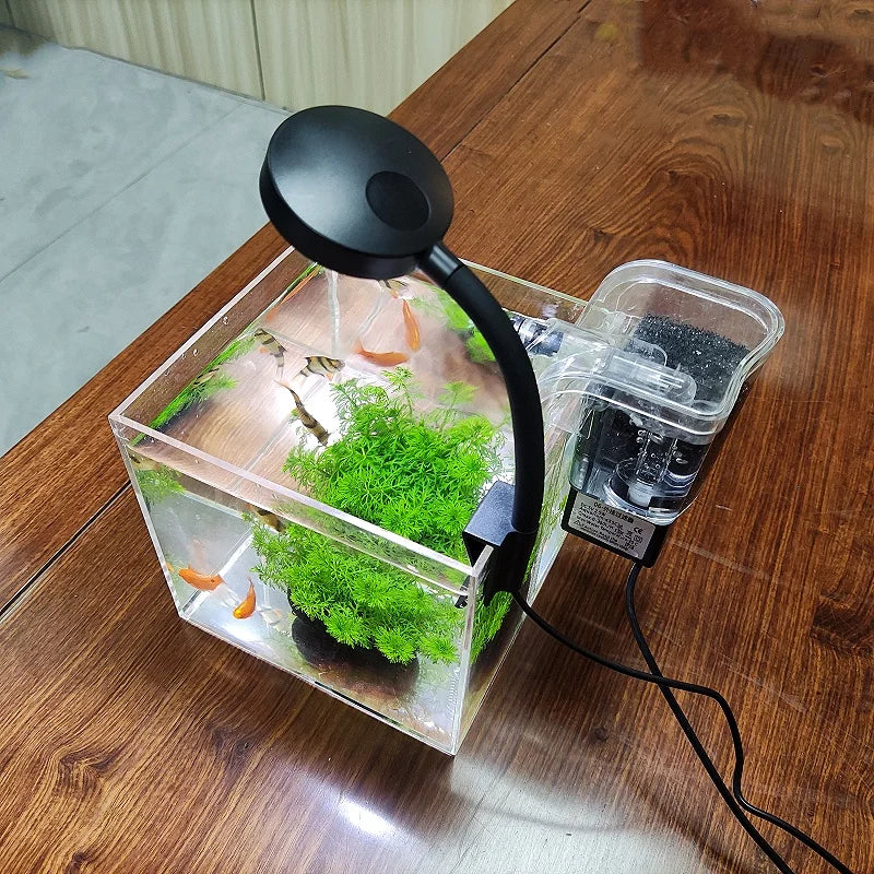 mini acrylic aquarium for desk