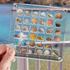 36 Grid Acrylic Magnetic Display Box Front View