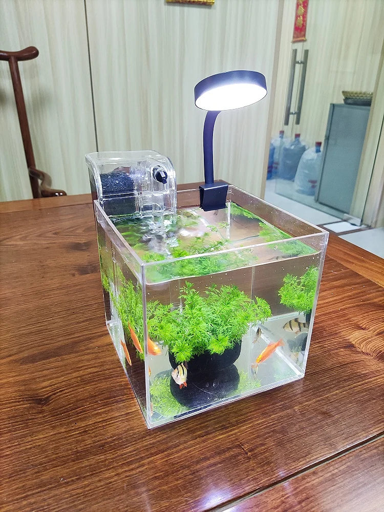 transparent fish tank with LED lamp